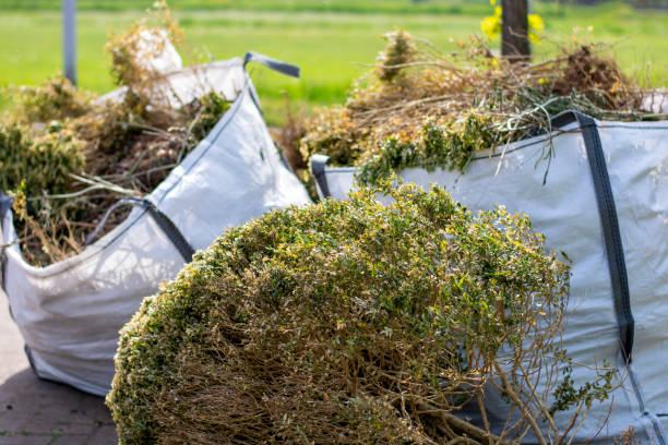 Best Local Junk Hauling  in Chilton, WI